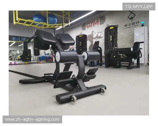 腰部佩戴式健身器材的功能与使用方法